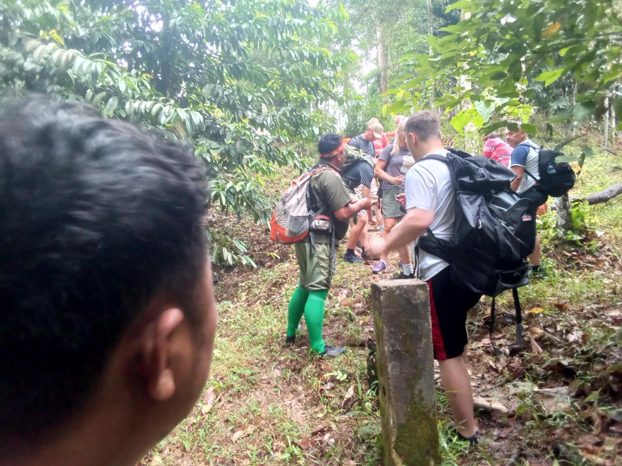 Jungle Treking & Jungle Tour If You Want To Stay Here,You Must Book Treking Only With Us Bukit Lawang Ngoại thất bức ảnh