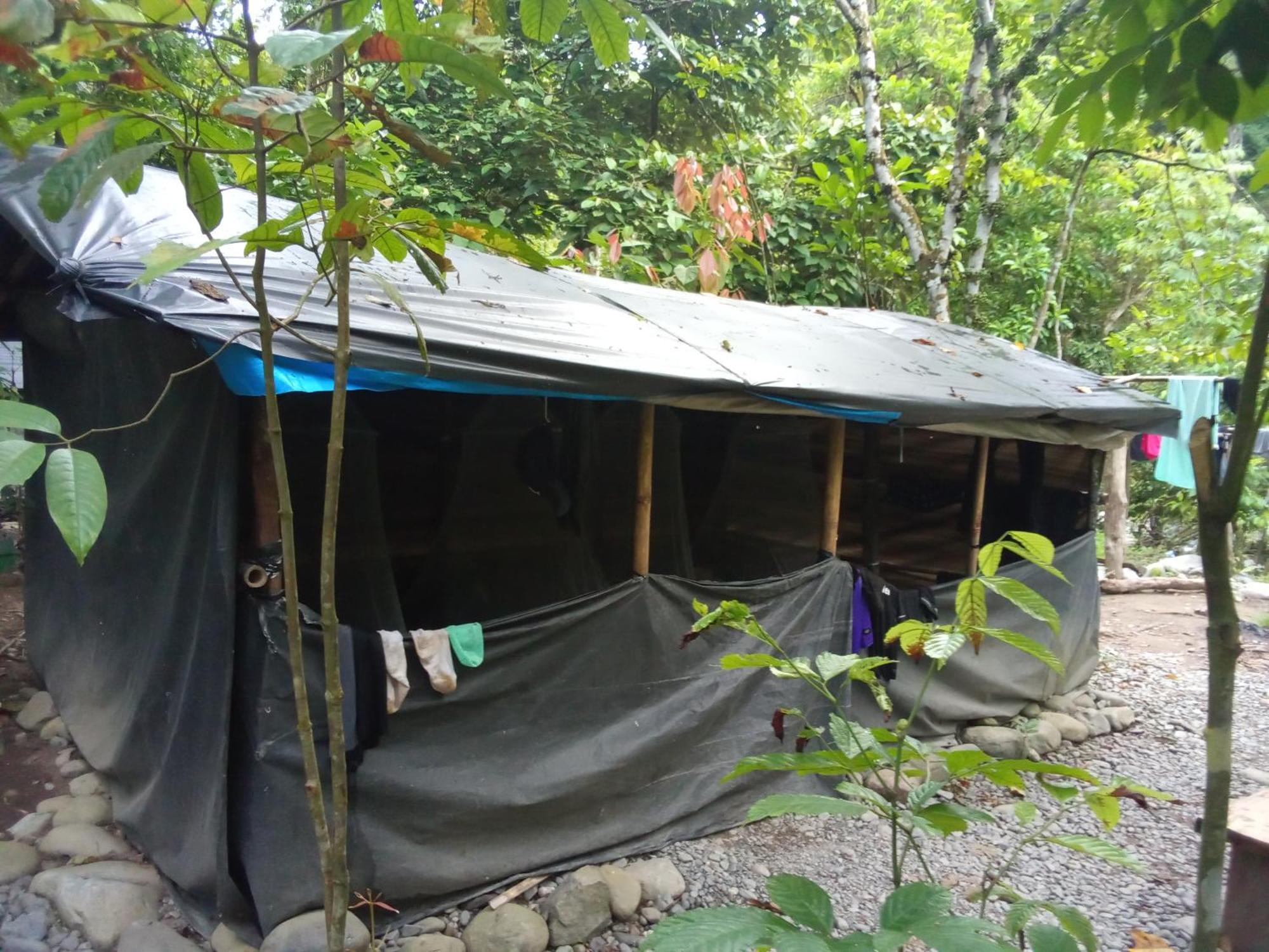 Jungle Treking & Jungle Tour If You Want To Stay Here,You Must Book Treking Only With Us Bukit Lawang Ngoại thất bức ảnh