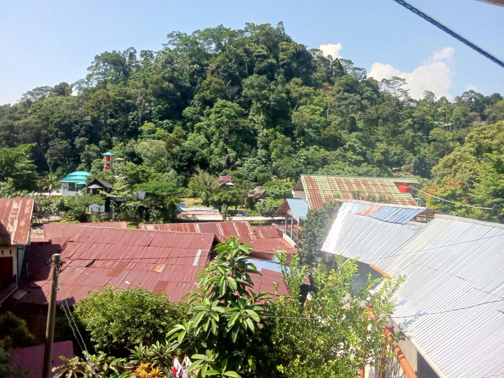 Jungle Treking & Jungle Tour If You Want To Stay Here,You Must Book Treking Only With Us Bukit Lawang Ngoại thất bức ảnh