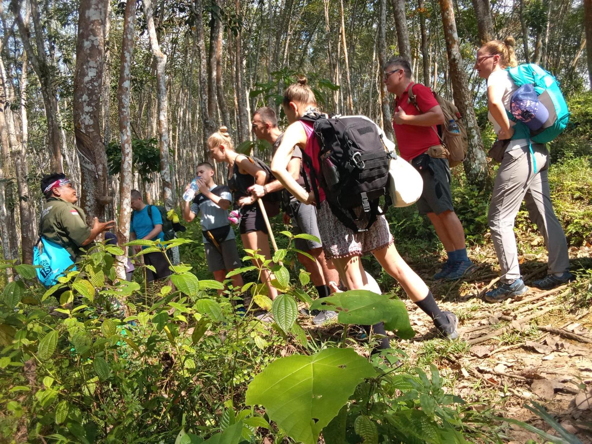 Jungle Treking & Jungle Tour If You Want To Stay Here,You Must Book Treking Only With Us Bukit Lawang Ngoại thất bức ảnh